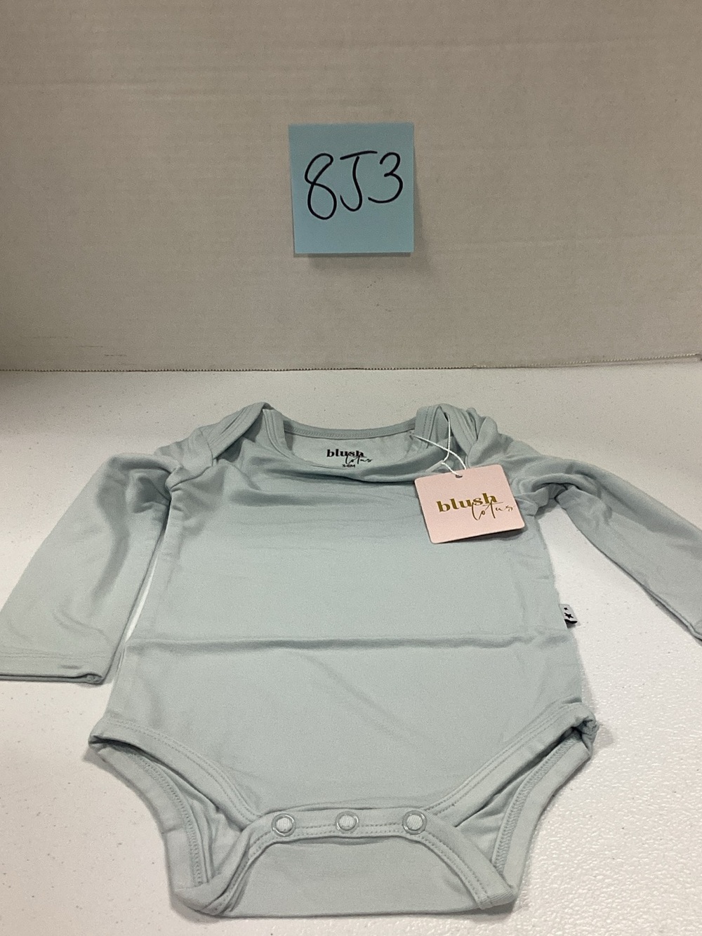 Blush Long-Sleeve Baby One-Piece in Light Sage